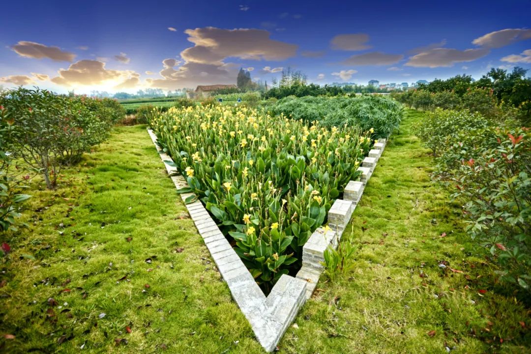 农村生活污水处理设计选型和问题不足(图3)